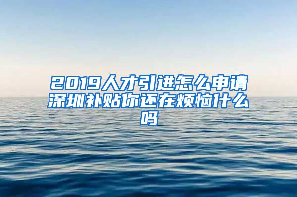 2019人才引进怎么申请深圳补贴你还在烦恼什么吗