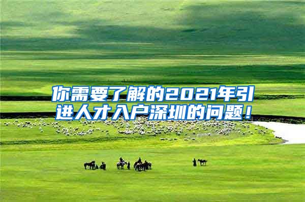 你需要了解的2021年引进人才入户深圳的问题！
