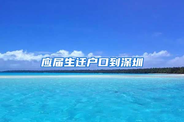 应届生迁户口到深圳