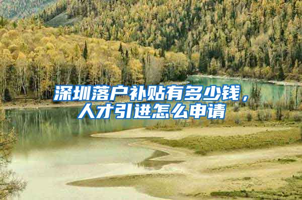 深圳落户补贴有多少钱，人才引进怎么申请