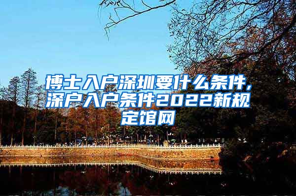 博士入户深圳要什么条件,深户入户条件2022新规定馆网