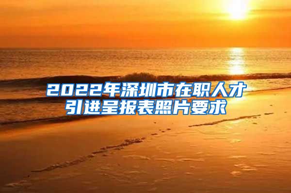 2022年深圳市在职人才引进呈报表照片要求
