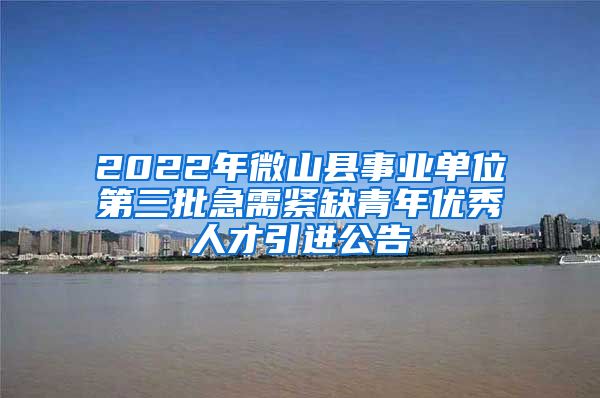 2022年微山县事业单位第三批急需紧缺青年优秀人才引进公告