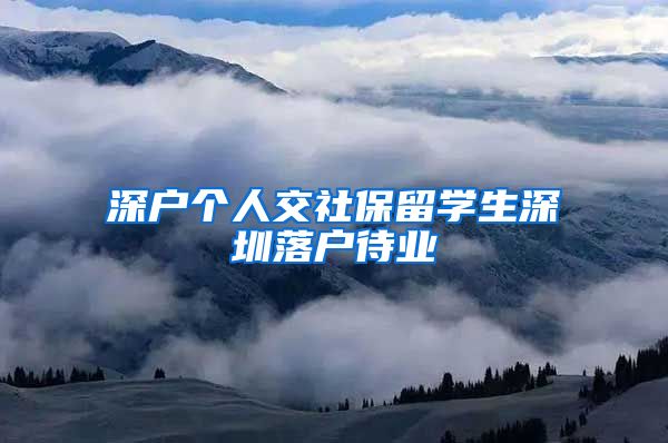 深户个人交社保留学生深圳落户待业