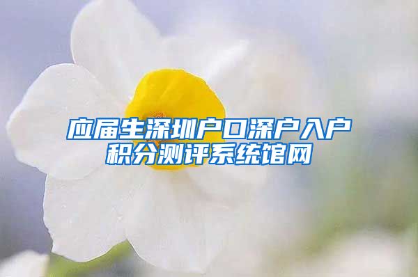 应届生深圳户口深户入户积分测评系统馆网