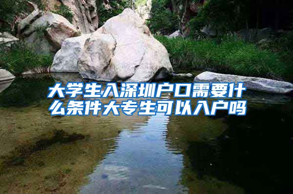大学生入深圳户口需要什么条件大专生可以入户吗
