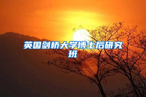 英国剑桥大学博士后研究班