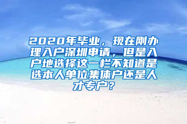 2020年毕业，现在刚办理入户深圳申请，但是入户地选择这一栏不知道是选本人单位集体户还是人才专户？