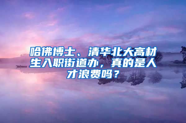 哈佛博士、清华北大高材生入职街道办，真的是人才浪费吗？