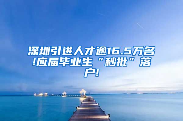 深圳引进人才逾16.5万名!应届毕业生“秒批”落户!