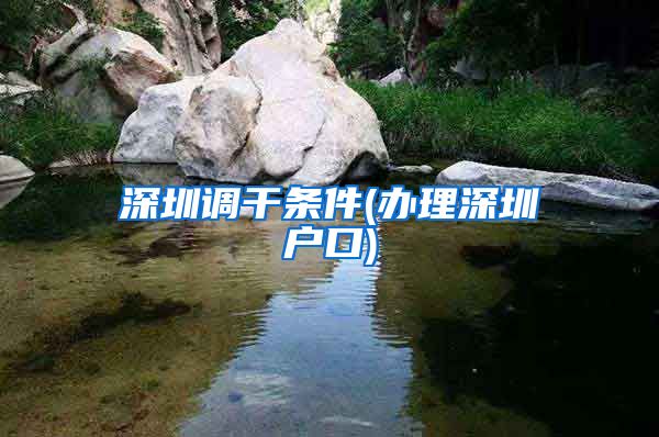 深圳调干条件(办理深圳户口)