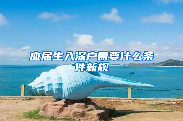 应届生入深户需要什么条件新规