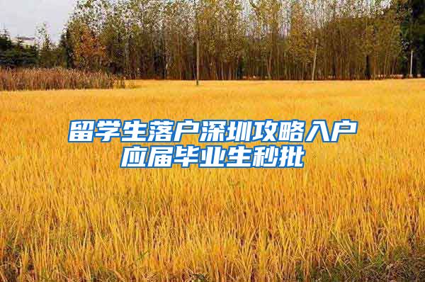 留学生落户深圳攻略入户应届毕业生秒批