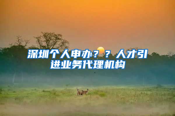 深圳个人申办？？人才引进业务代理机构