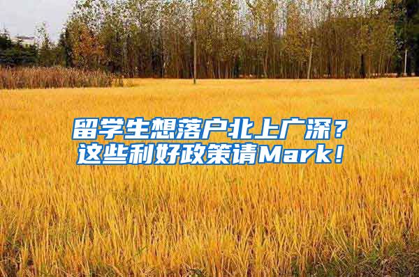 留学生想落户北上广深？这些利好政策请Mark！