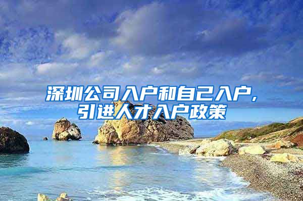 深圳公司入户和自己入户,引进人才入户政策