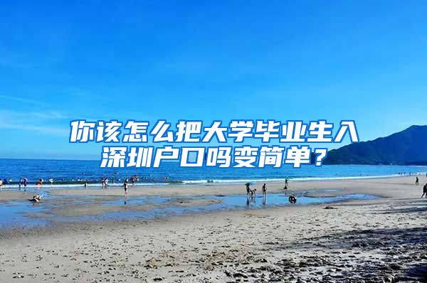 你该怎么把大学毕业生入深圳户口吗变简单？