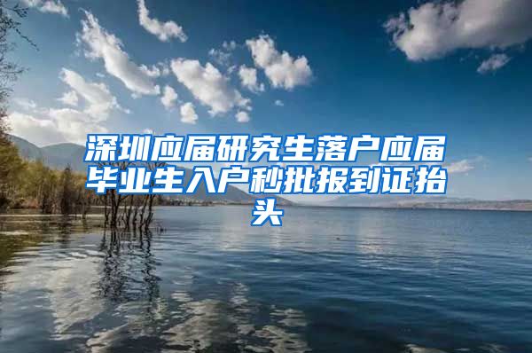 深圳应届研究生落户应届毕业生入户秒批报到证抬头