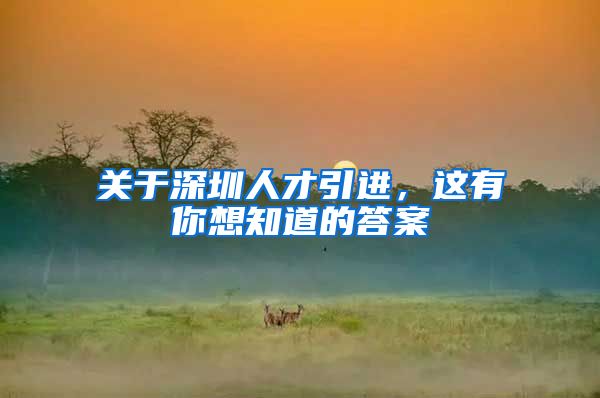 关于深圳人才引进，这有你想知道的答案