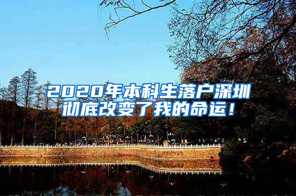 2020年本科生落户深圳彻底改变了我的命运！