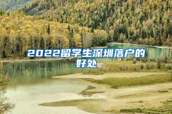 2022留学生深圳落户的好处
