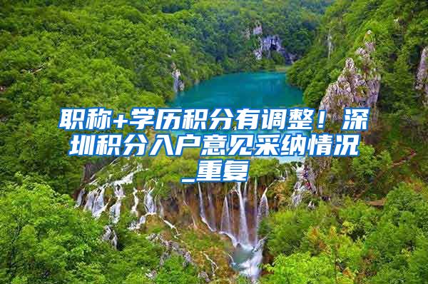 职称+学历积分有调整！深圳积分入户意见采纳情况_重复