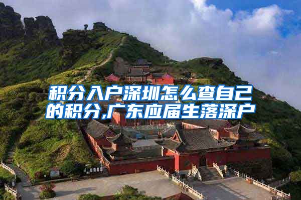 积分入户深圳怎么查自己的积分,广东应届生落深户