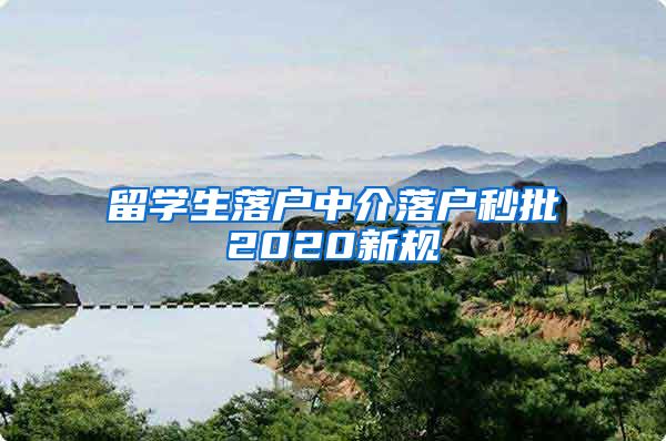 留学生落户中介落户秒批2020新规