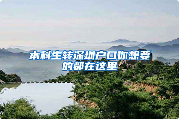 本科生转深圳户口你想要的都在这里