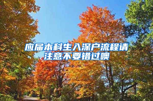 应届本科生入深户流程请注意不要错过噢