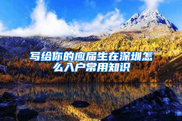 写给你的应届生在深圳怎么入户常用知识