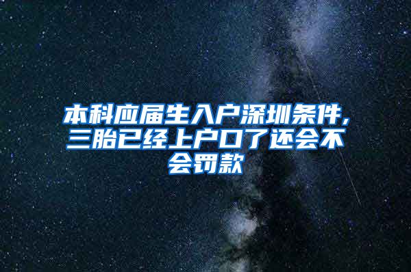 本科应届生入户深圳条件,三胎已经上户口了还会不会罚款