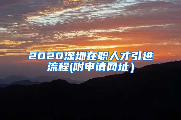 2020深圳在职人才引进流程(附申请网址）