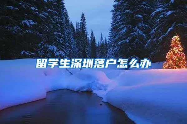 留学生深圳落户怎么办