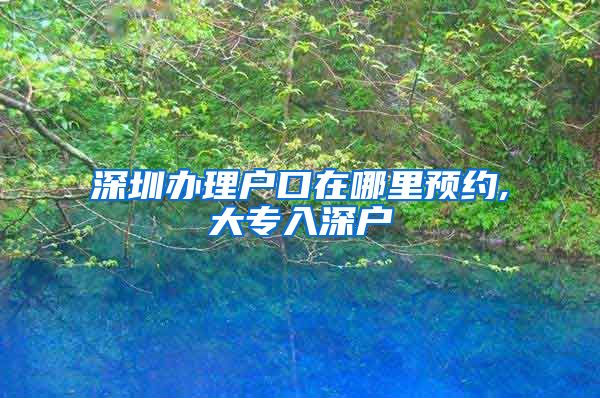 深圳办理户口在哪里预约,大专入深户