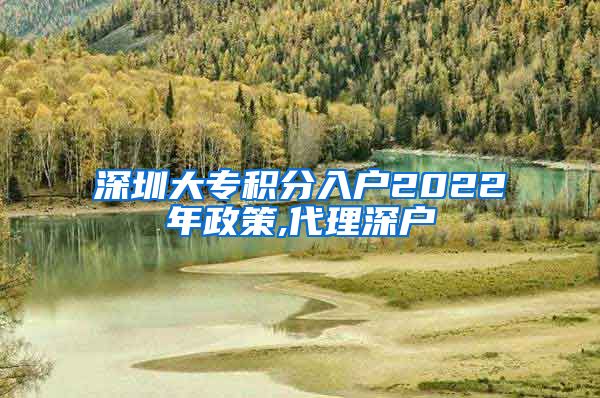 深圳大专积分入户2022年政策,代理深户