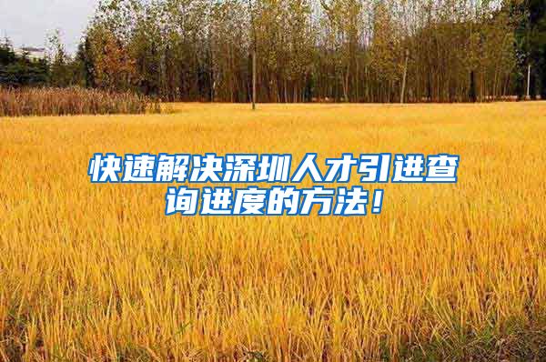 快速解决深圳人才引进查询进度的方法！