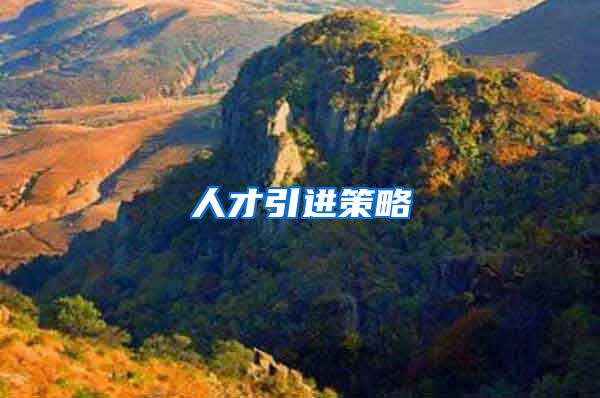人才引进策略
