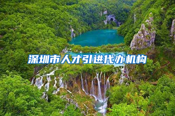 深圳市人才引进代办机构