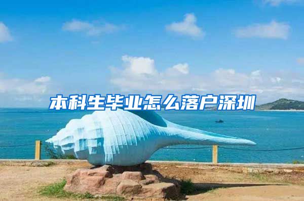 本科生毕业怎么落户深圳