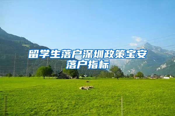 留学生落户深圳政策宝安落户指标
