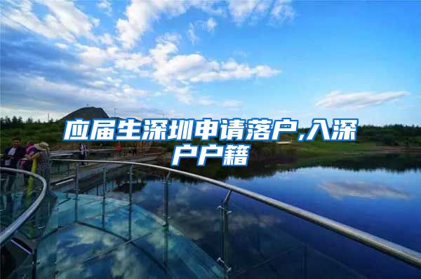 应届生深圳申请落户,入深户户籍