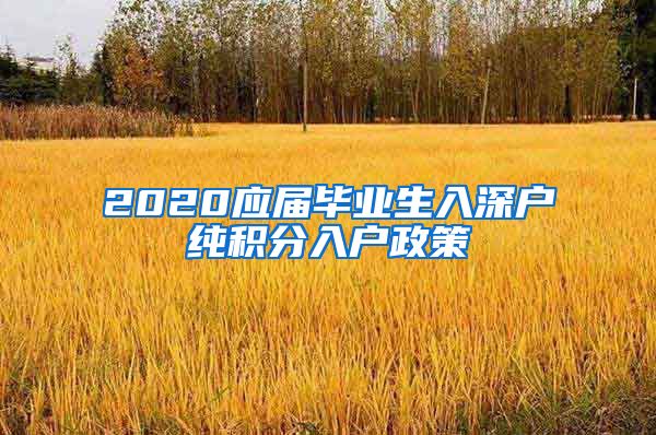 2020应届毕业生入深户纯积分入户政策