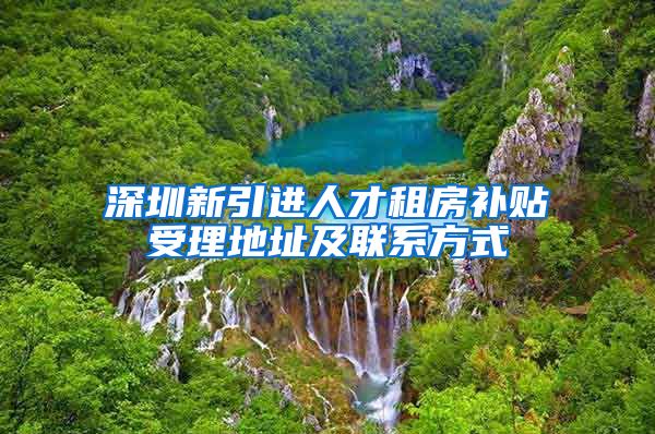 深圳新引进人才租房补贴受理地址及联系方式