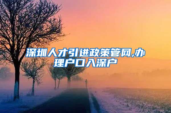 深圳人才引进政策管网,办理户口入深户