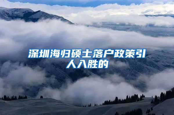 深圳海归硕士落户政策引人入胜的