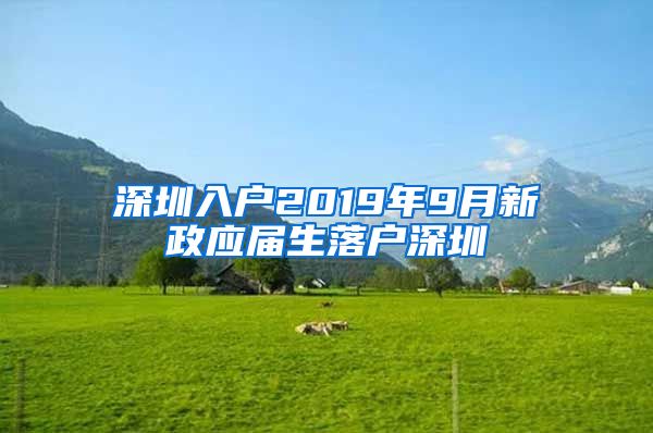 深圳入户2019年9月新政应届生落户深圳