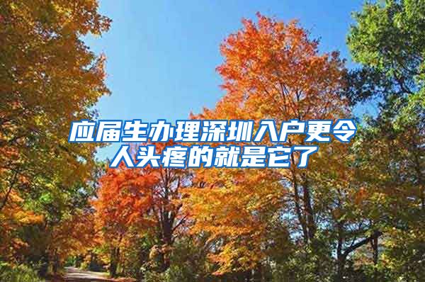 应届生办理深圳入户更令人头疼的就是它了