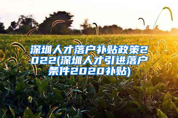 深圳人才落户补贴政策2022(深圳人才引进落户条件2020补贴)