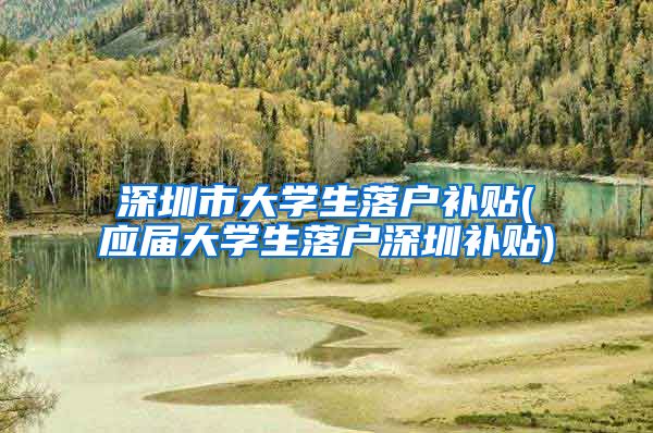 深圳市大学生落户补贴(应届大学生落户深圳补贴)
